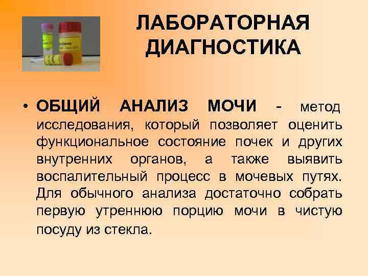    ЛАБОРАТОРНАЯ    ДИАГНОСТИКА  • ОБЩИЙ АНАЛИЗ МОЧИ 