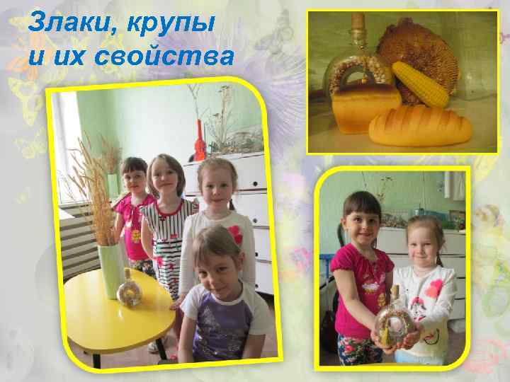 Злаки, крупы и их свойства 