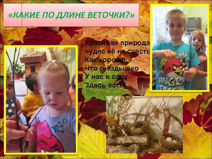  «КАКИЕ ПО ДЛИНЕ ВЕТОЧКИ? » Красивая природа чудес её не счесть. Как хорошо,