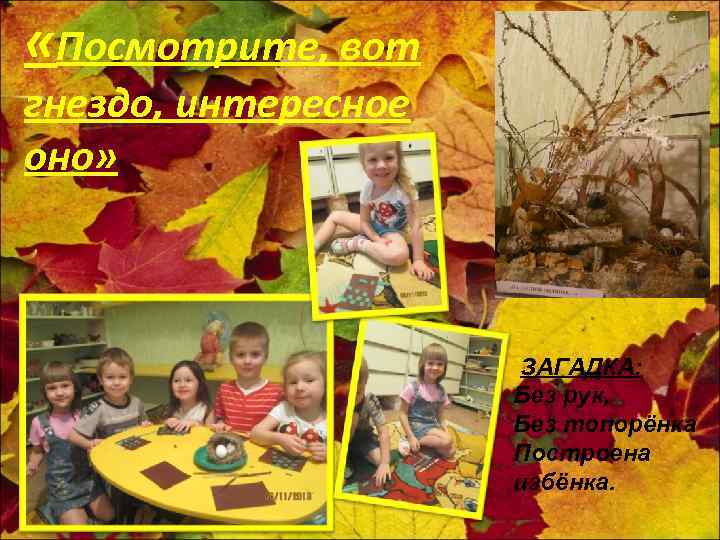  «Посмотрите, вот гнездо, интересное оно» ЗАГАДКА: Без рук, Без топорёнка Построена избёнка. 