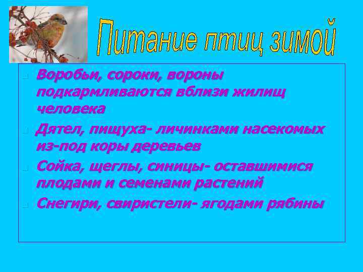 n  Воробьи, сороки, вороны подкармливаются вблизи жилищ человека n  Дятел, пищуха- личинками