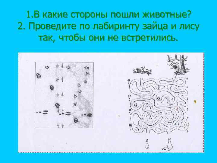  1. В какие стороны пошли животные? 2. Проведите по лабиринту зайца и лису