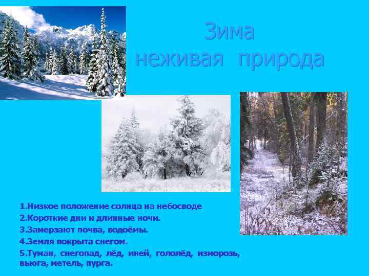      Зима     неживая природа 1. Низкое