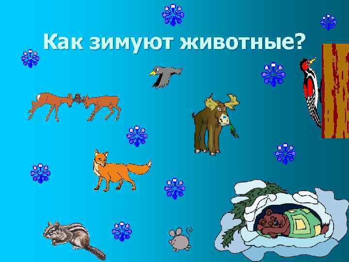 Как зимуют животные? 