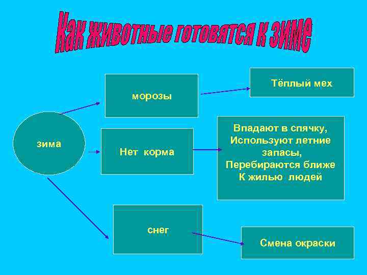      Тёплый мех   морозы    Впадают
