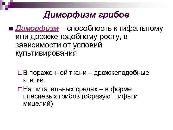 Диморфизм грибов n Диморфизм – способность к гифальному или дрожжеподобному росту, в зависимости от