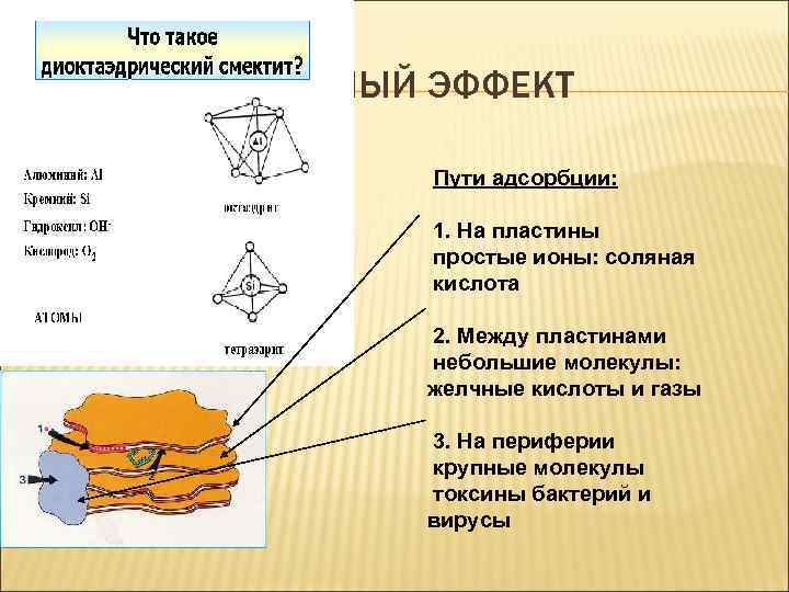 СОРБЦИОННЫЙ ЭФФЕКТ Субъединица Смекты Пути адсорбции: 1. На пластины простые ионы: соляная кислота 2.