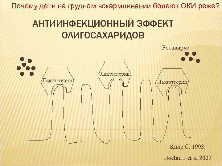 Почему дети на грудном вскармливании болеют ОКИ реже? АНТИИНФЕКЦИОННЫЙ ЭФФЕКТ ОЛИГОСАХАРИДОВ Ротавирус Лактатгерин Kunz