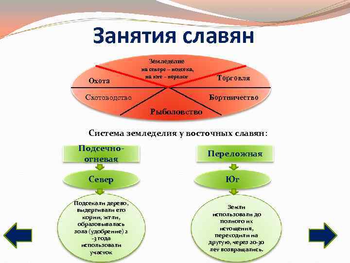 Занятия славян Земледелие на севере – Занятия славян Земледелие на севере –