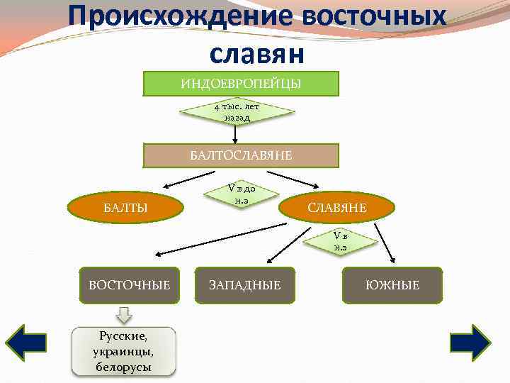 Составьте развернутый план по теме восточные славяне в 6 8 в