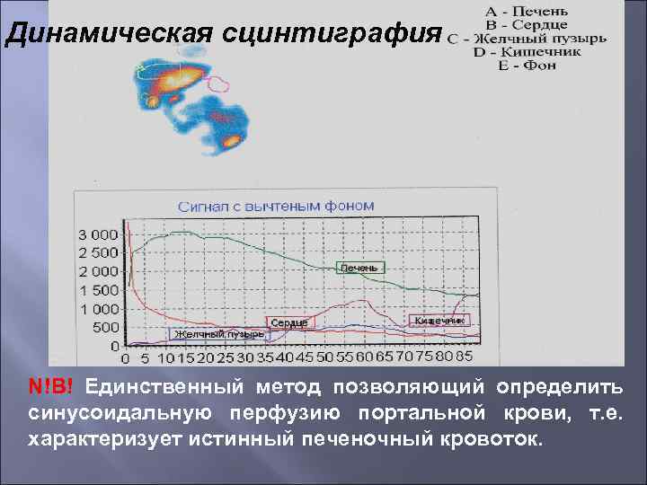 Динамическая сцинтиграфия N!B! Единственный метод позволяющий определить синусоидальную перфузию портальной крови, т. е. характеризует