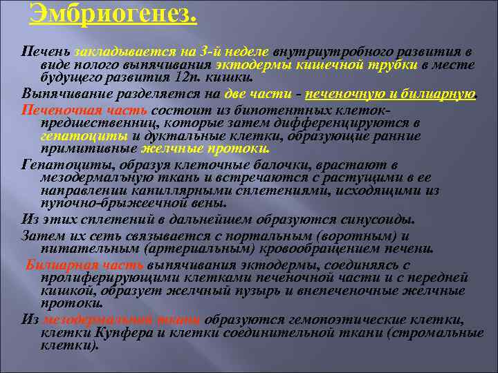 Эмбриогенез. Печень закладывается на 3 -й неделе внутриутробного развития в виде полого выпячивания эктодермы