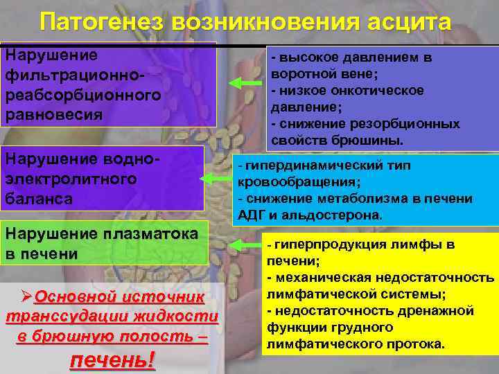 Патогенез возникновения асцита Нарушение фильтрационнореабсорбционного равновесия Нарушение водноэлектролитного баланса Нарушение плазматока в печени Основной