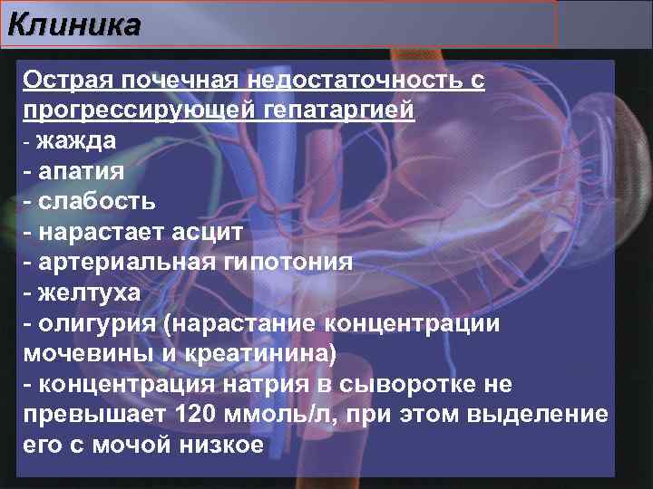 Клиника Острая почечная недостаточность с прогрессирующей гепатаргией - жажда - апатия - слабость -