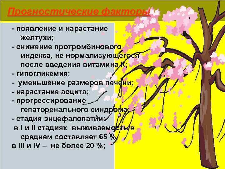 Прогностические факторы - появление и нарастание желтухи; - снижение протромбинового индекса, не нормализующегося после