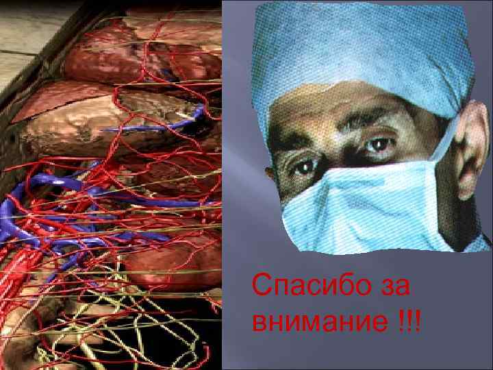 Спасибо за внимание !!! 