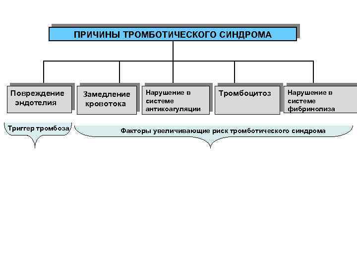 ПРИЧИНЫ ТРОМБОТИЧЕСКОГО СИНДРОМА Повреждение эндотелия Триггер тромбоза Замедление кровотока Нарушение в системе антикоагуляции Тромбоцитоз