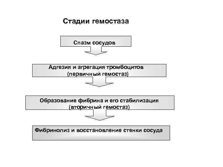 Стадии гемостаза Спазм сосудов Адгезия и агрегация тромбоцитов (первичный гемостаз) Образование фибрина и его