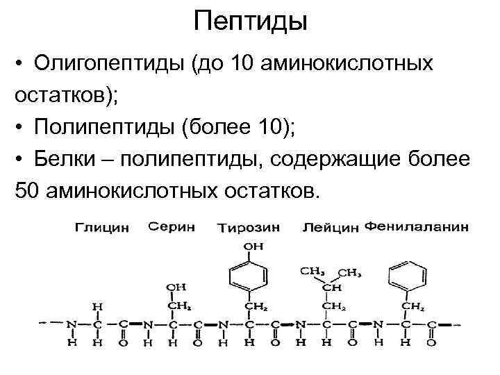  Пептиды • Олигопептиды (до 10 аминокислотных остатков); • Полипептиды (более 10); • Белки