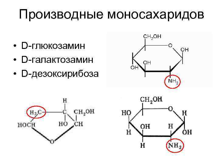  Производные моносахаридов • D-глюкозамин • D-галактозамин • D-дезоксирибоза 