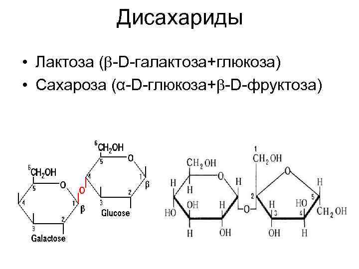  Дисахариды • Лактоза ( -D-галактоза+глюкоза) • Сахароза (α-D-глюкоза+ -D-фруктоза) 