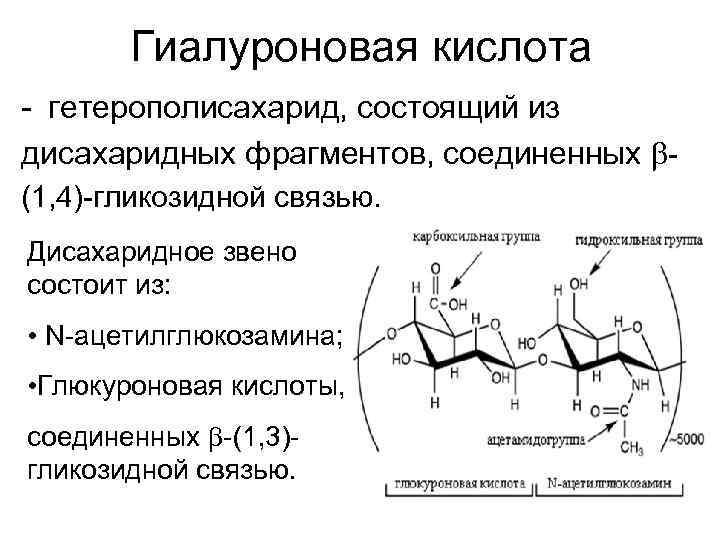  Гиалуроновая кислота - гетерополисахарид, состоящий из дисахаридных фрагментов, соединенных - (1, 4)-гликозидной связью.