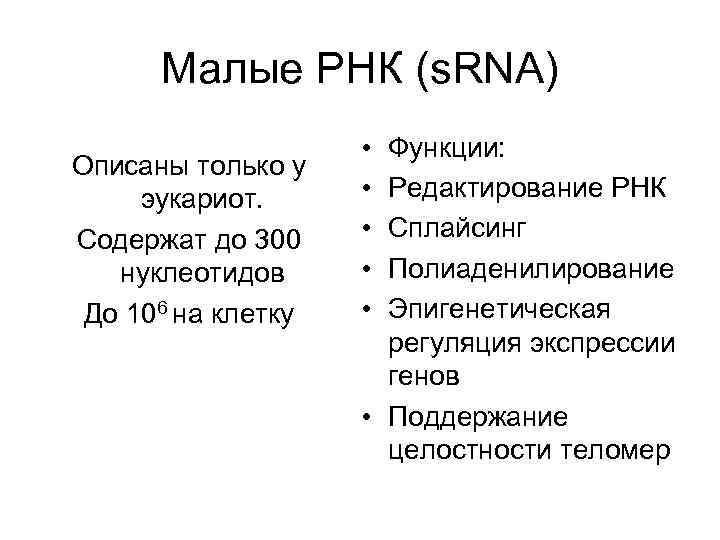  Малые РНК (s. RNA) • Функции: Описаны только у эукариот. • Редактирование РНК