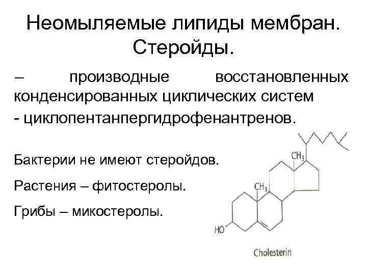  Неомыляемые липиды мембран. Стеройды. – производные восстановленных конденсированных циклических систем - циклопентанпергидрофенантренов. Бактерии