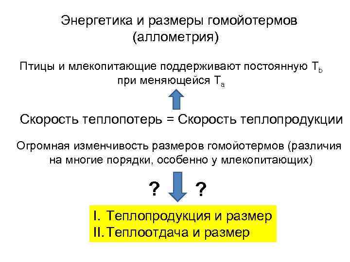   Энергетика и размеры гомойотермов   (аллометрия) Птицы и млекопитающие поддерживают постоянную
