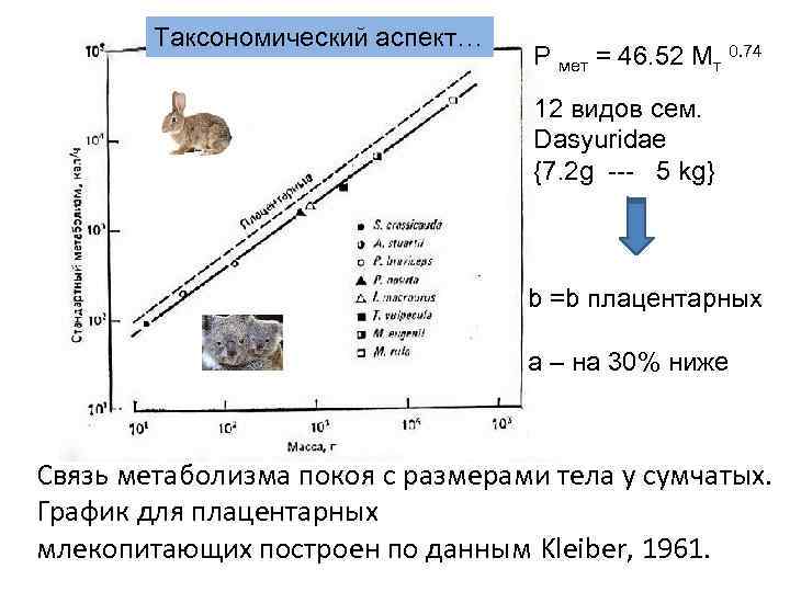   Таксономический аспект…      P мет = 46. 52
