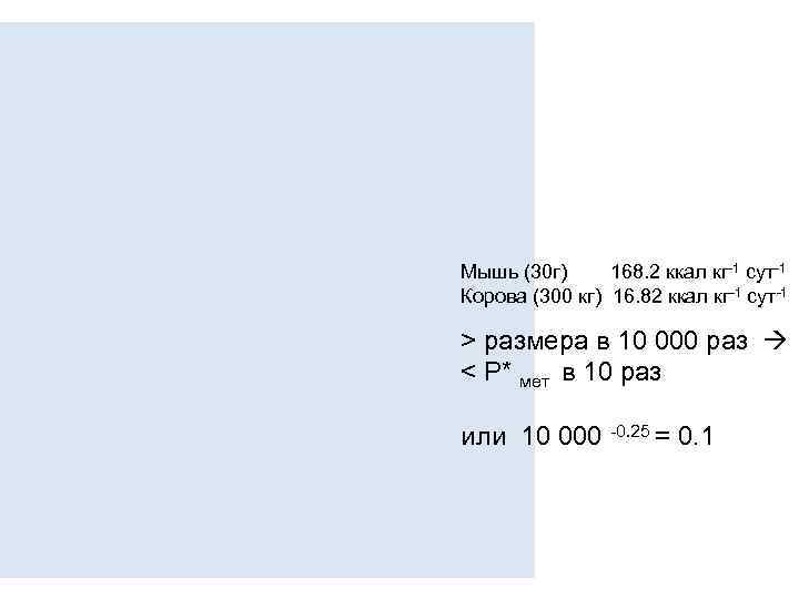 Мышь (30 г) 168. 2 ккал кг-1 сут-1 Корова (300 кг) 16. 82 ккал