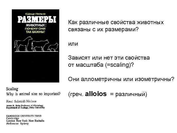 Как различные свойства животных связаны с их размерами?  или Зависят или нет эти
