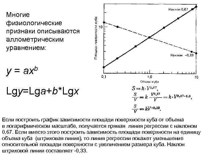  Многие физиологические признаки описываются аллометрическим уравнением: y = axb Lgy=Lga+b*Lgx Если построить график