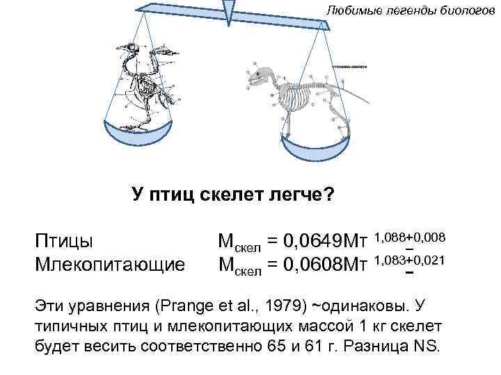       Любимые легенды биологов    У птиц