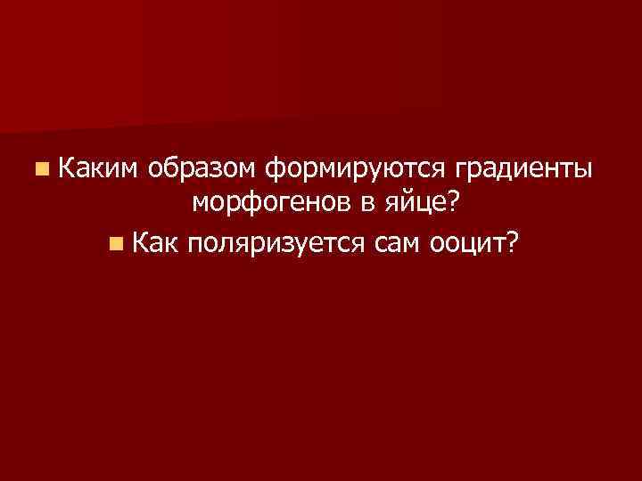 n Каким образом формируются градиенты морфогенов в яйце? n Как поляризуется сам ооцит? 