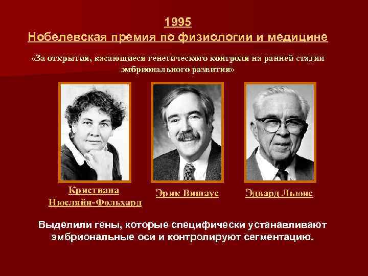1995 Нобелевская премия по физиологии и медицине «За открытия, касающиеся генетического контроля на ранней