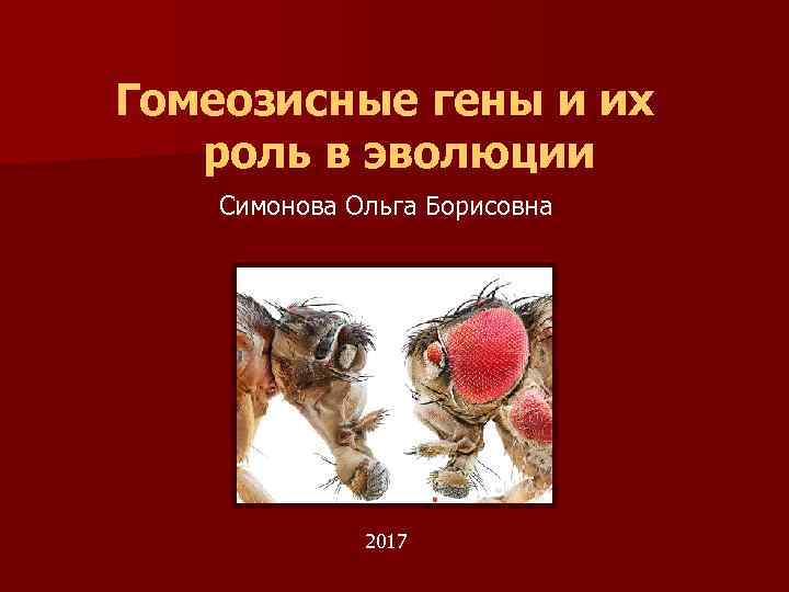 Гомеозисные гены и их роль в эволюции Симонова Ольга Борисовна 2017 