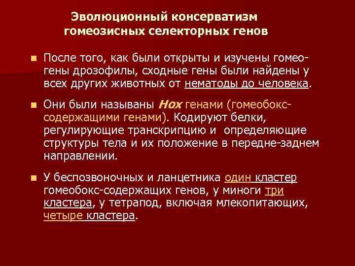 Эволюционный консерватизм гомеозисных селекторных генов n После того, как были открыты и изучены гомеогены