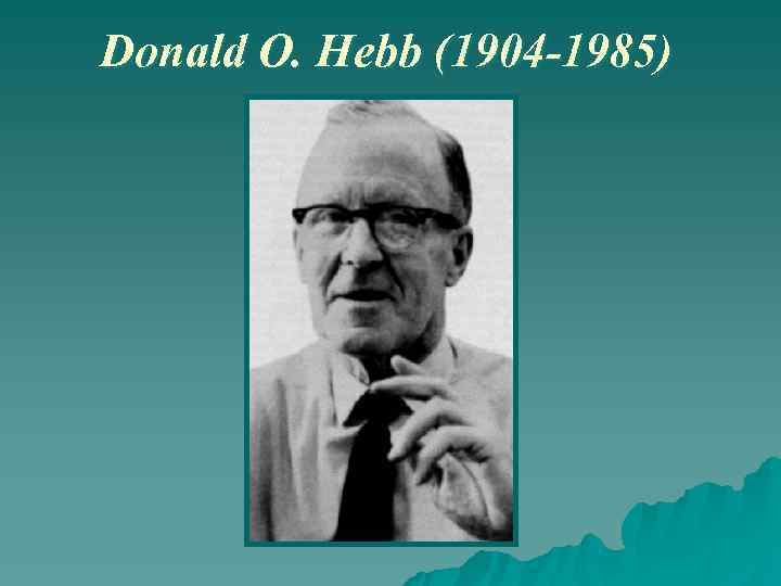 Donald O. Hebb (1904 -1985) 