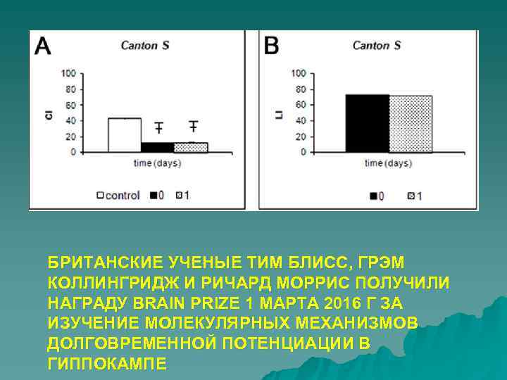 БРИТАНСКИЕ УЧЕНЫЕ ТИМ БЛИСС, ГРЭМ КОЛЛИНГРИДЖ И РИЧАРД МОРРИС ПОЛУЧИЛИ НАГРАДУ BRAIN PRIZE 1