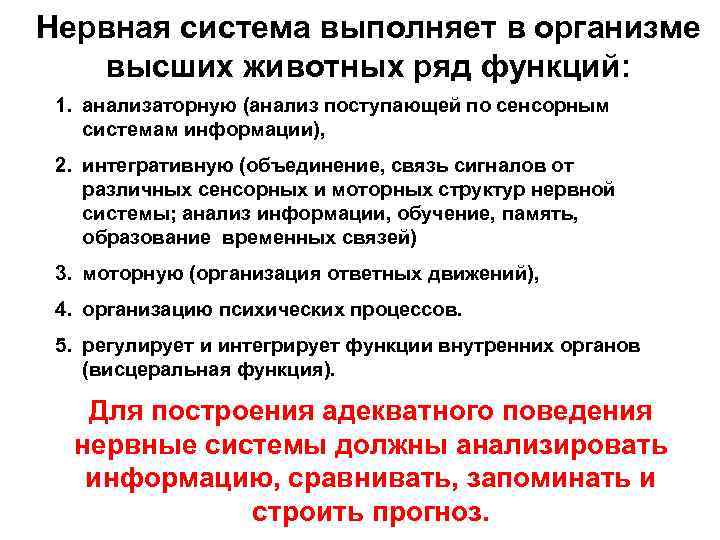 Нервная система выполняет в организме высших животных ряд функций: 1. анализаторную (анализ поступающей по