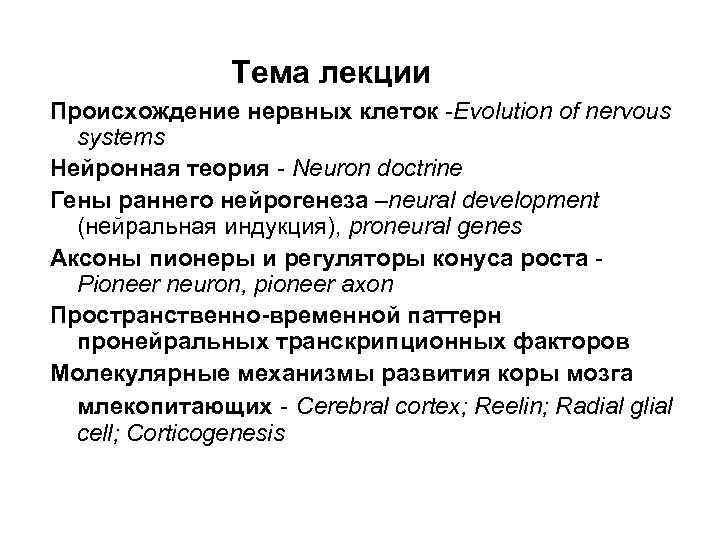 Тема лекции Происхождение нервных клеток -Evolution of nervous systems Нейронная теория - Neuron doctrine