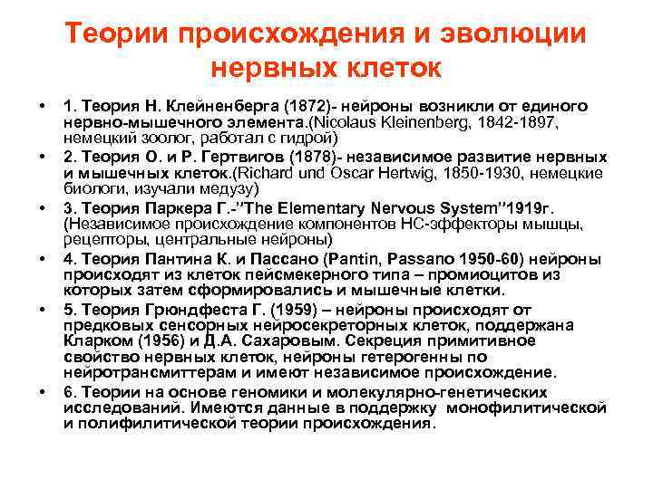 Теории происхождения и эволюции нервных клеток • • • 1. Теория Н. Клейненберга (1872)-