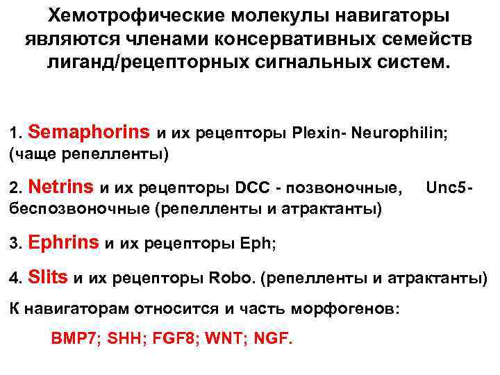 Хемотрофические молекулы навигаторы являются членами консервативных семейств лиганд/рецепторных сигнальных систем. 1. Semaphorins и их