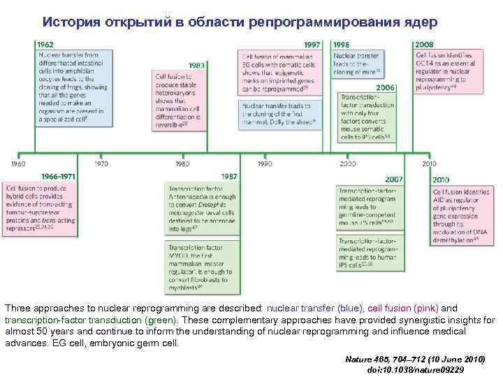 История открытий в области репрограммирования ядер Three approaches to nuclear reprogramming are described: nuclear