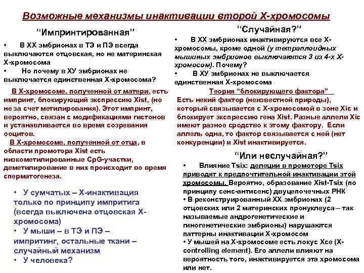 Возможные механизмы инактивации второй Х-хромосомы “Импринтированная” “Случайная? ” • В ХХ эмбрионах инактивируются все