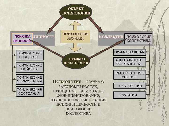 Структура современной