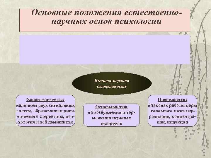 Основные положения естественно-  научных основ психологии      Высшая