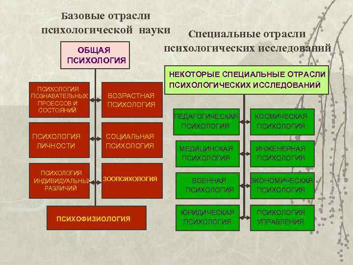   Базовые   отрасли  психологической науки   Специальные отрасли 