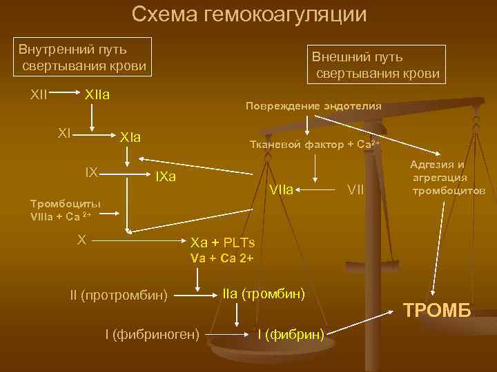 Схема последовательности активирования факторов внешнего пути свертывания крови